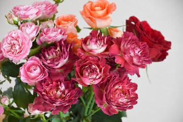 カラフルな薔薇