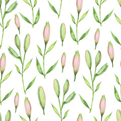 Seamless pattern of lily buds