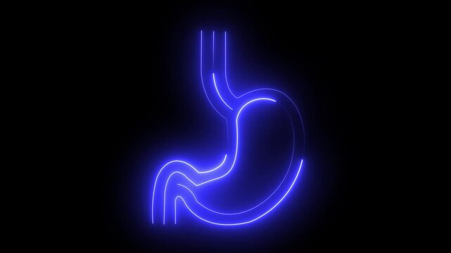 Neon Stomach Icon &ndash; Digestive System and Gastro Health acid reflux concept ulcer problem digestion process human anatomy icon Concept.