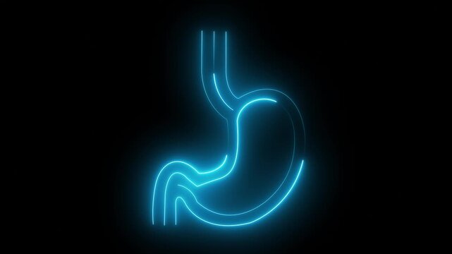 Neon Stomach Icon &ndash; Digestive System and Gastro Health acid reflux concept ulcer problem digestion process human anatomy icon Concept.