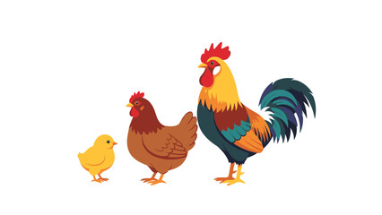 Fototapeta premium Chicken Family Vector Illustration: Rooster, Hen, and Chick in Progressive Size for Farm or Poultry Concept Design