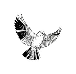 Fototapeta premium Sparrow in flight against black background illustrative graphic