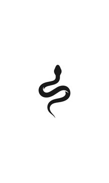 Snake silhouette on black background