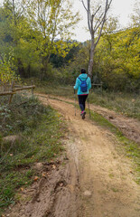 Obraz premium Woman walking along a lonely forest trail.
