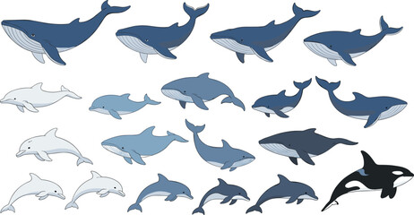 Obraz premium Whale and Dolphin Marine Mammal Icon Set Featuring Ocean Animals in Multiple Poses for Wildlife Education, Sea Life Infographics, and Vector Design