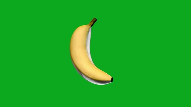 vector illustration of banana