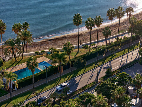 Estepona, Spain - 19 January 2026: Aerial view of palm trees lining the coast, contrasting with the turquoise pool and the rhythmic waves of the sea.