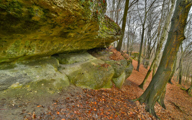 skalne strukturalne głazy z  zielonym mchem 1 © Mariusz Sowula