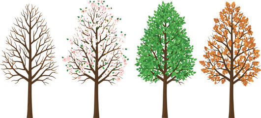 Fototapeta premium Four seasonal tree illustrations showing winter, spring blossoms, summer greenery, and autumn foliage, nature seasons concept art, vector design