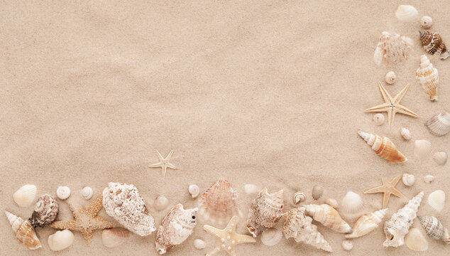 Exotic collections of white and beige seashells and starfish on sand background for aesthetic summer card. Flat lay style