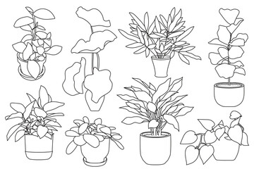 Set of plant in pot hand drawn vector illustrations houseplant, home decoration © Ita