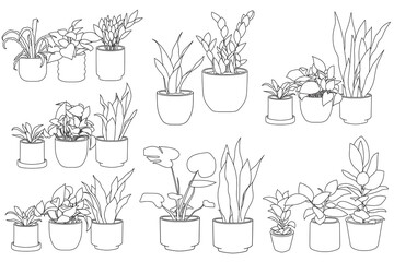 Set of plant in pot hand drawn vector illustrations houseplant, home decoration © Ita