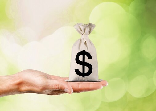 money bag in human hand on nature background