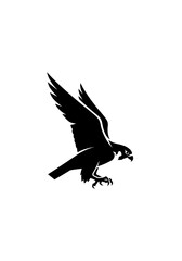 Obraz premium Silhouette of a soaring falcon bird on white background concept design