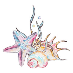 Watercolor seashell composition, underwater animals ocean.