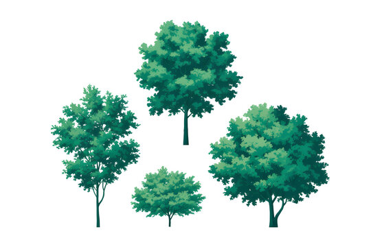 "Group of Four Small Green Trees on Neutral Background &mdash; Landscape Visualization and Architectural Model Foliage"
