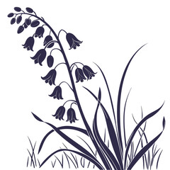 Naklejka premium muscari silhouette on white background