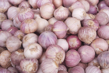 Many single clove garlic or chinese garlic cloves as background