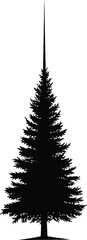 Fototapeta premium Black Pine Tree Silhouette Isolated on White Background