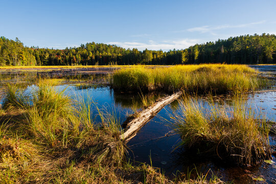 Algonquin Provincial Park, Kanada, Ontario, Wanderung im Herbst entlang der Beaver Ponds