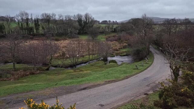 Small road bridge over little stream on Dartmoor