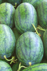 Many ripe watermelons as background