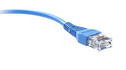 Blue Ethernet cable connector