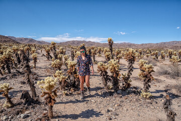 A woman is walking through a desert with many cacti