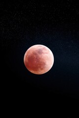 Obraz premium Red moon illuminated during lunar eclipse against night sky