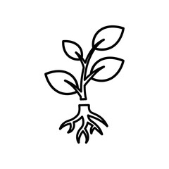 Simple Line Drawing of Plant with Roots and Leaves on White