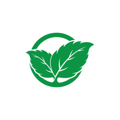 Clean and scalable mint leaf logo vector symbol template for brand identity.