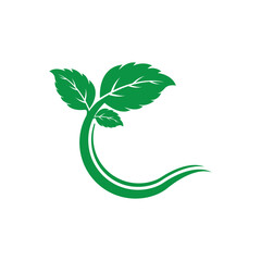 Clean and scalable mint leaf logo vector symbol template for brand identity.