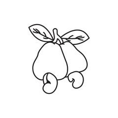 illustration of cashew fruit, cashew icon.