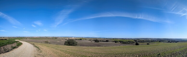 Obraz premium Wide view of a countryside landscape with fields and a dirt road in sunny weather during midday