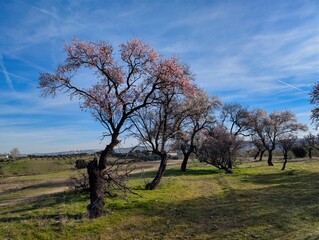 Fototapety na wymiar - Fototapeta24.pl