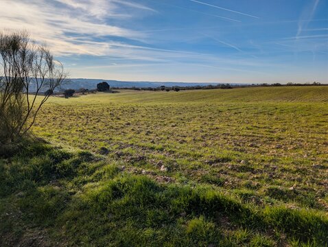 Wide open field under clear sky in a rural area with hills in the distance during late afternoon in wintertime