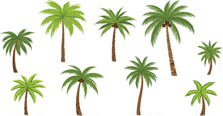 Tropical Palm Tree Collection Vector Illustration Featuring Different Coconut Palms Isolated on White Background