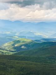Fototapeta premium Mountain landscape with dense coniferous forests in the foreground and blue mountains under a cloudy sky. Carpathians, Ukraine.