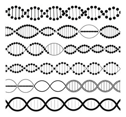 Fototapeta premium DNA Double Helix Structure Vector Illustrations Set
