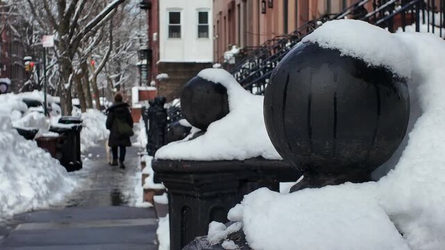 woman walks dog on snow covered Brooklyn sidewalk