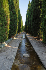 Botanical Garden in town of Balchik, Bulgaria