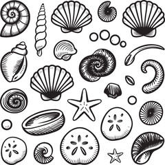 Black and white illustration of various seashells and starfish