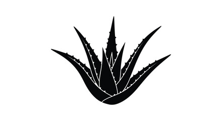 A striking black silhouette of an aloe vera plant © Prince