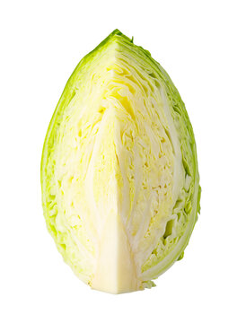 Fresh pointed cabbage half with transparent background