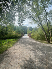 Obraz premium Bridge on a Trail