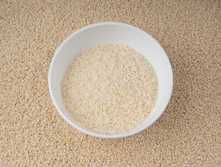 Grated coconut powder. Dry coco flakes pile, shredded desiccated coconut, tropical fruit chips