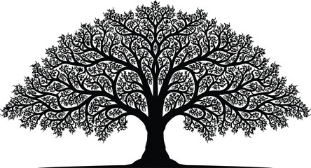 Obraz premium A majestic tree with sprawling branches and leaves