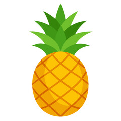 Pineapple isolated on white background vector illustration