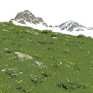 A green field with snow-capped mountains in the background