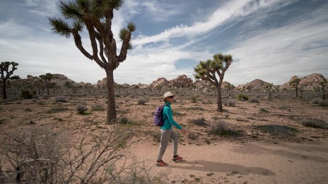 Mature woman hikes through Joshua Tree National Park, climbs rocks, and explores cholla cactus and desert flora.